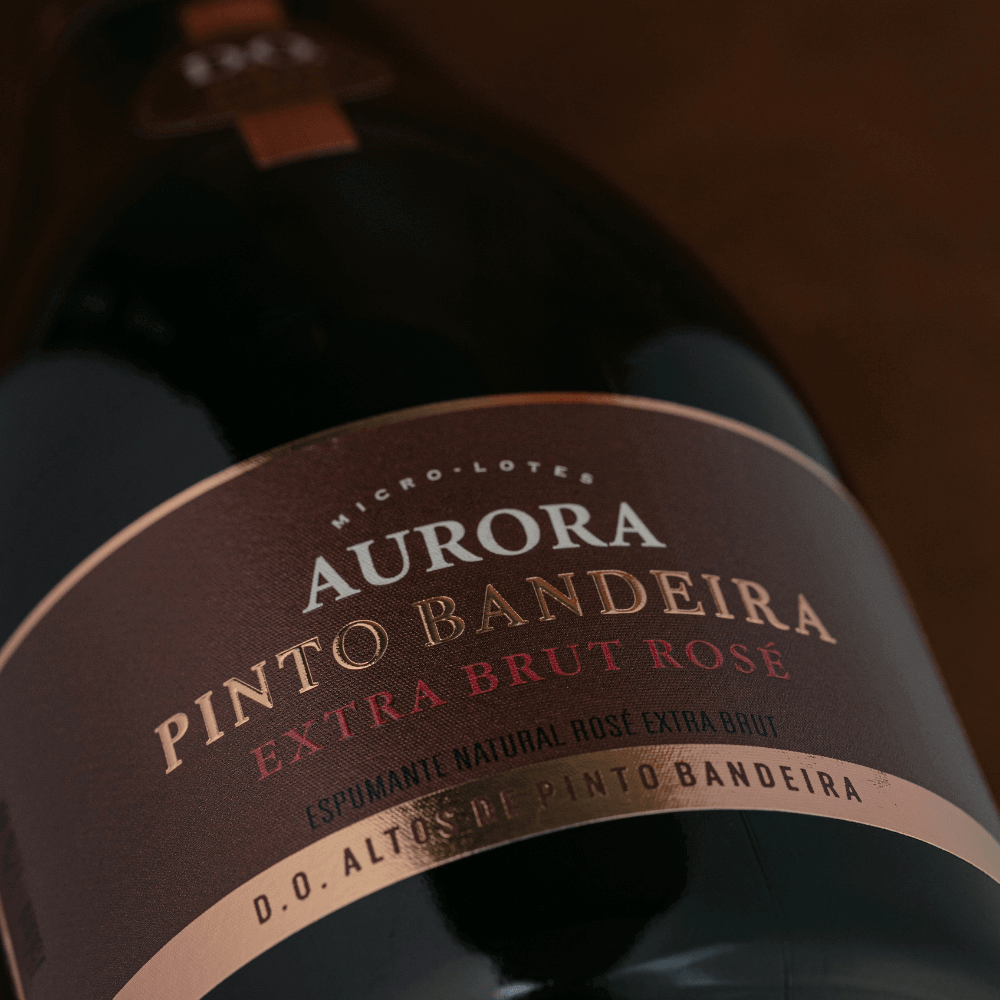 Aurora D.O. Pinto Bandeira Espumante Tradicional Extra Brut Rosé - Aurora - Espumantes do Sul