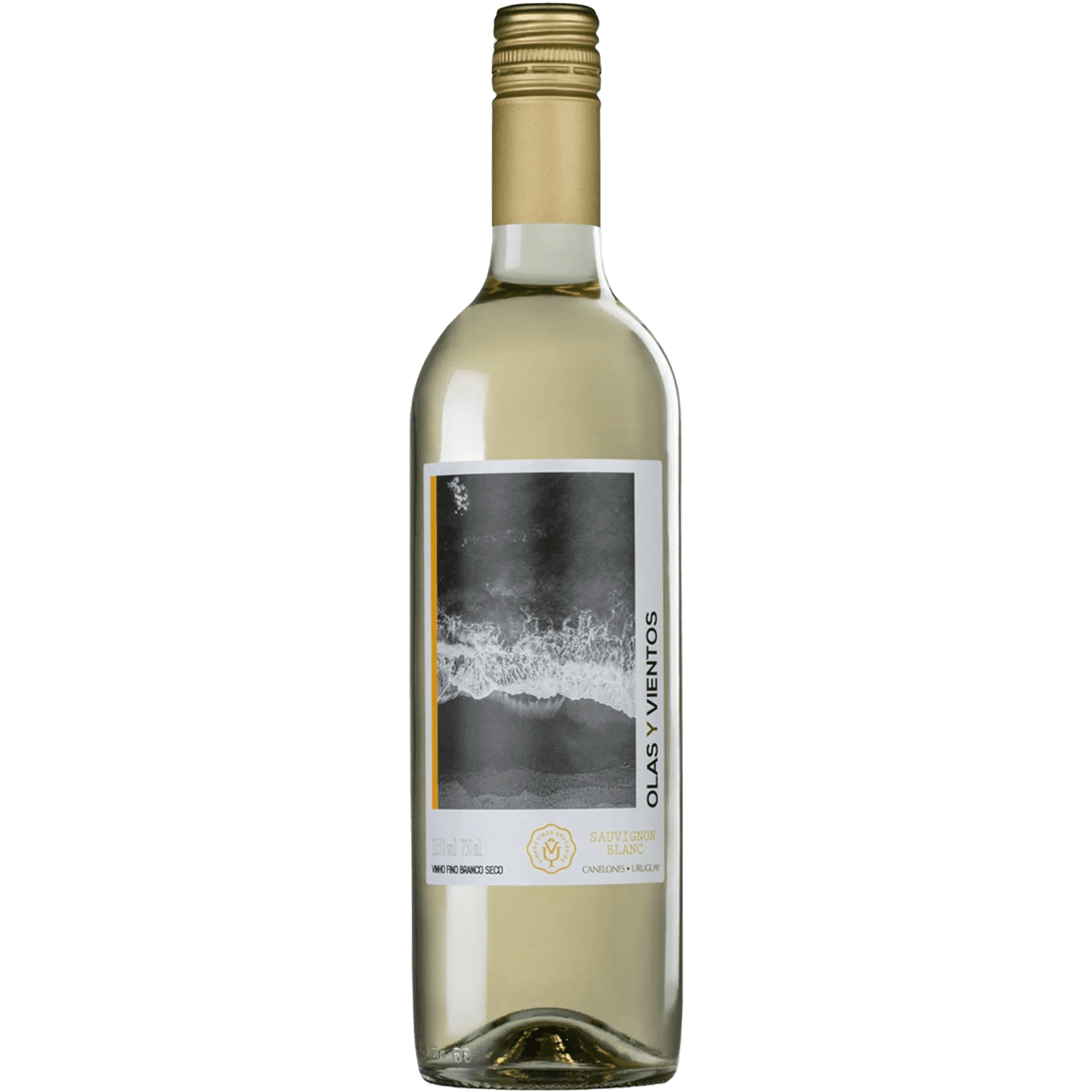 Aurora Olas y Vientos Sauvignon Blanc - Aurora - Espumantes do Sul
