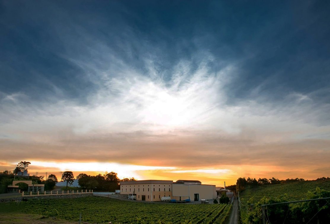 Casa Perini Balde de Espumantes Brut - 7 x 750ml - Casa Perini - Espumantes do Sul