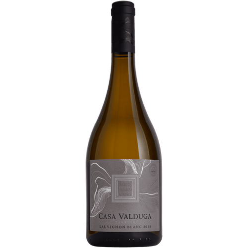 Casa Valduga Terroir Sauvignon Blanc - Casa Valduga - Espumantes do Sul