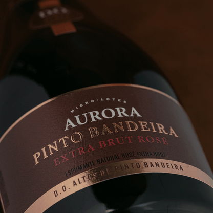 Aurora D.O. Pinto Bandeira Espumante Tradicional Extra Brut Rosé - Aurora - Espumantes do Sul