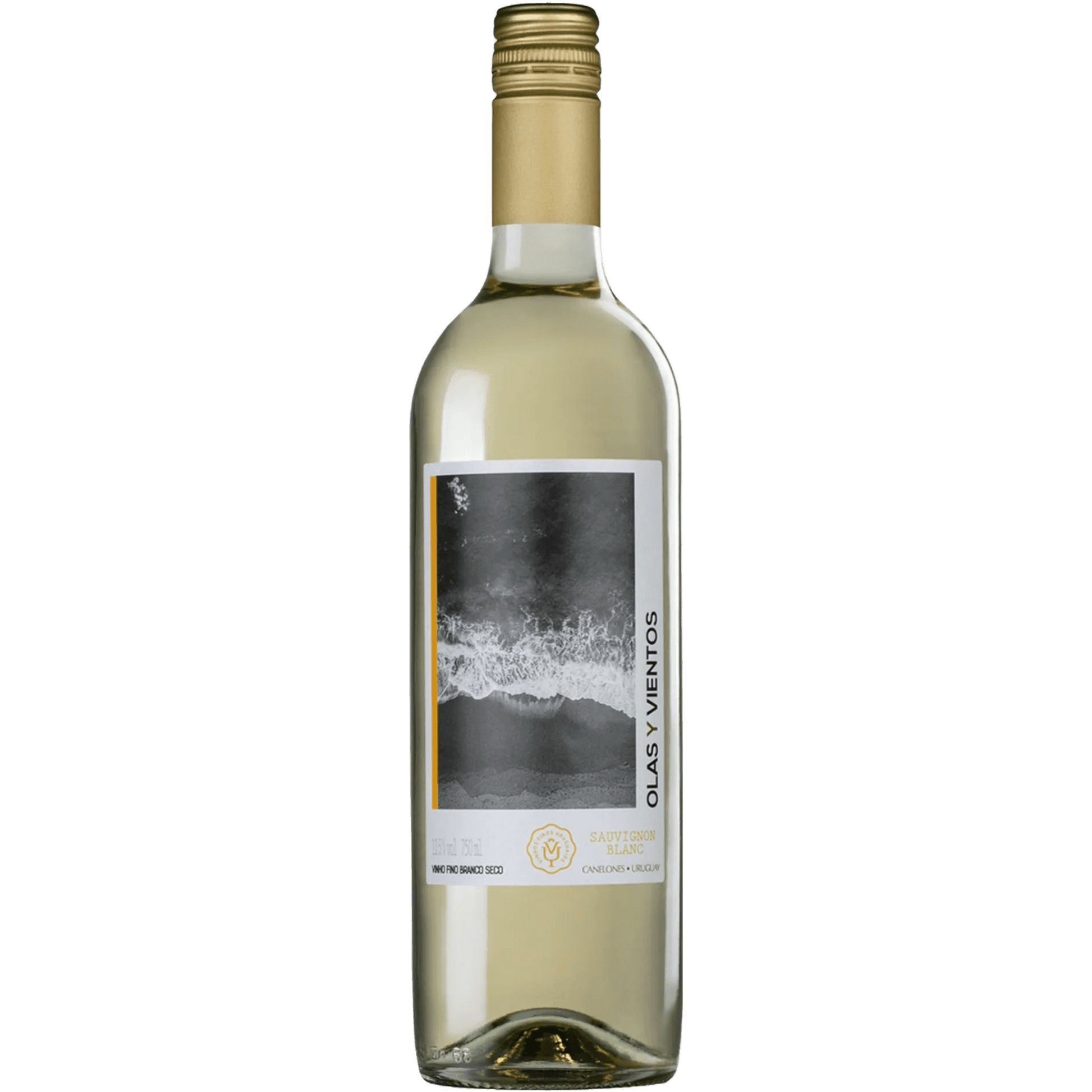Aurora Olas y Vientos Sauvignon Blanc - Aurora - Espumantes do Sul