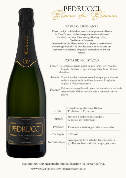 Casa Pedrucci Blanc de Blancs Espumante Brut - Casa Pedrucci - Espumantes do Sul