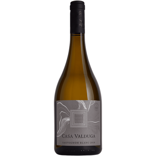 Casa Valduga Terroir Sauvignon Blanc - Casa Valduga - Espumantes do Sul