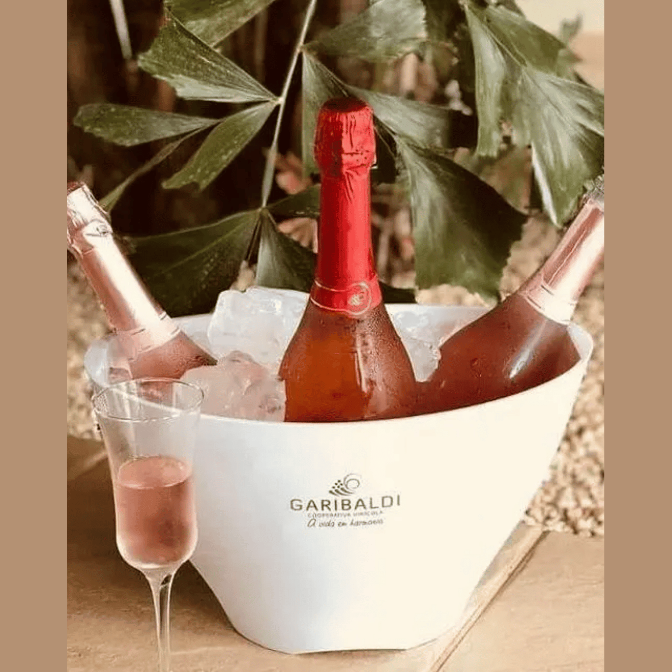 Garibaldi Floratta Espumante Moscatel Rosé - Garibaldi - Espumantes do Sul