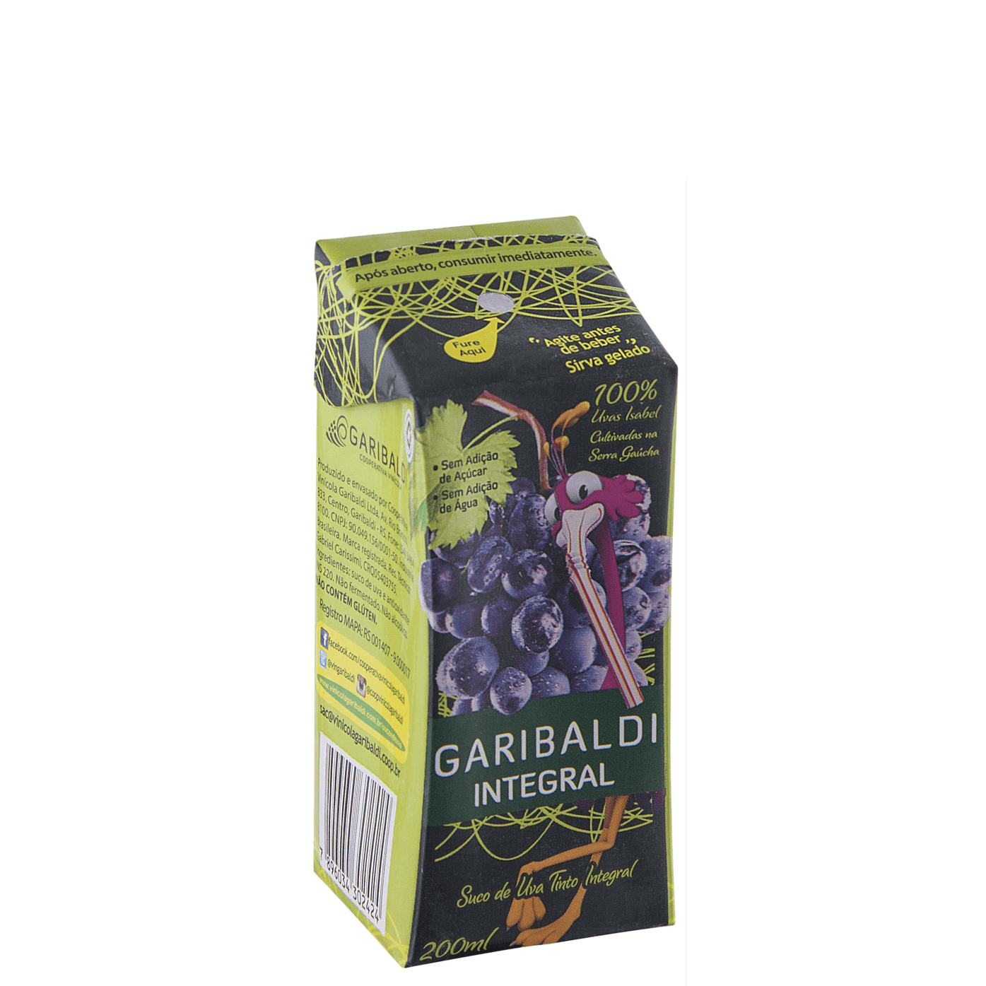 Garibaldi Suco de Uva Isabel Integral Tetra Pack 200ml - Garibaldi - Espumantes do Sul
