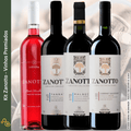 Kit Vinhos Premiados Zanotto - Zanotto - Espumantes do Sul