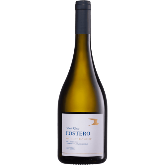 Mario Geisse Costero Sauvignon Blanc - Cave Geisse - Espumantes do Sul
